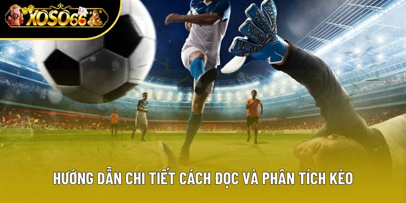 Hướng dẫn chi tiết cách đọc và phân tích kèo